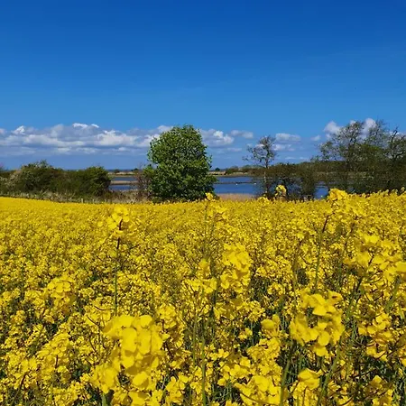 Nord-west * Schönhagen